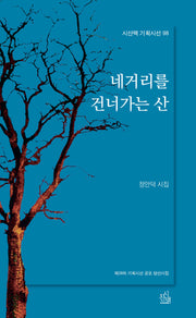 네거리를 건너가는 산(시산맥 기획시선 98)