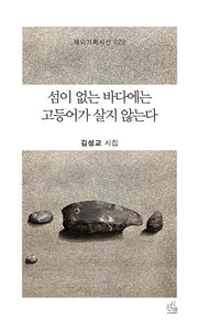 섬이 없는 바다에는 고등어가 살지 않는다(해외기획시선 29)