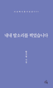 내내 발소리를 찍었습니다(시산맥 시혼시인선 34)