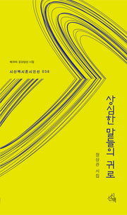 상심한 말들의 귀로(시산맥 시혼시인선 36)