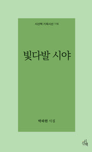 빛다발 시야(시산맥 기획시선 116)