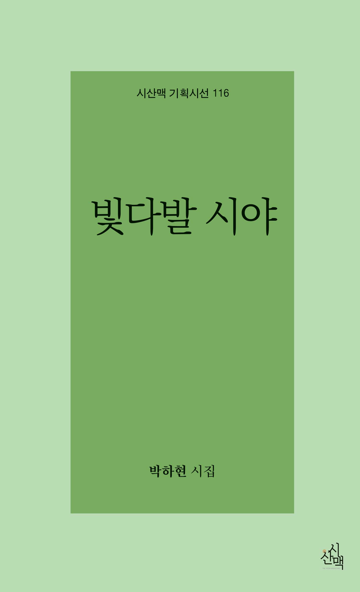 빛다발 시야(시산맥 기획시선 116)
