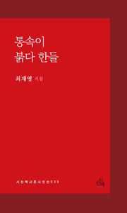 통속이 붉다 한들(시산맥 시혼시인선 39)