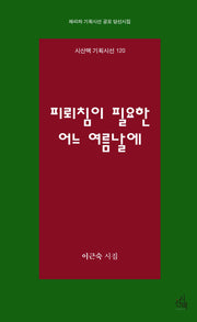 피뢰침이 필요한 어느 여름날에(시산맥 기획시선 120)