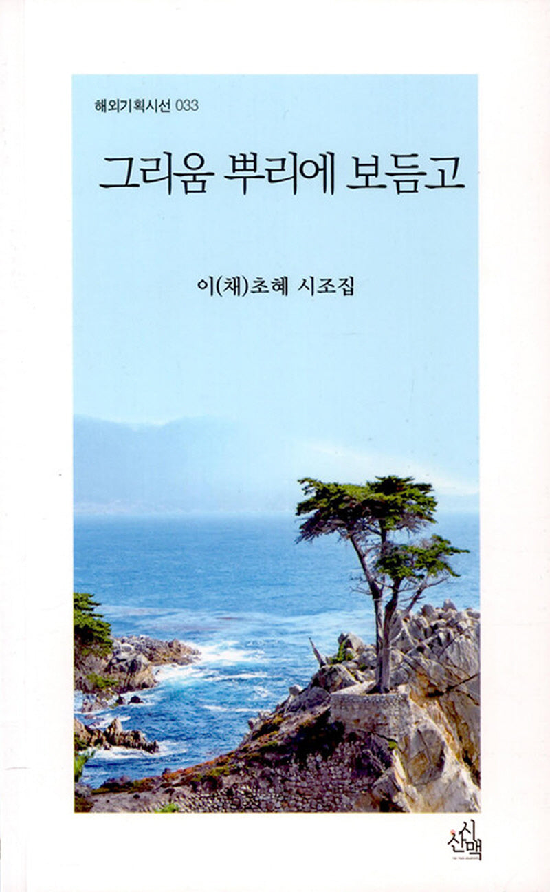 그리움 뿌리에 보듬고(해외기획시선 33)