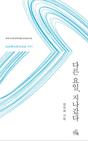 다른 요일, 지나갔다(시혼시인선 41)