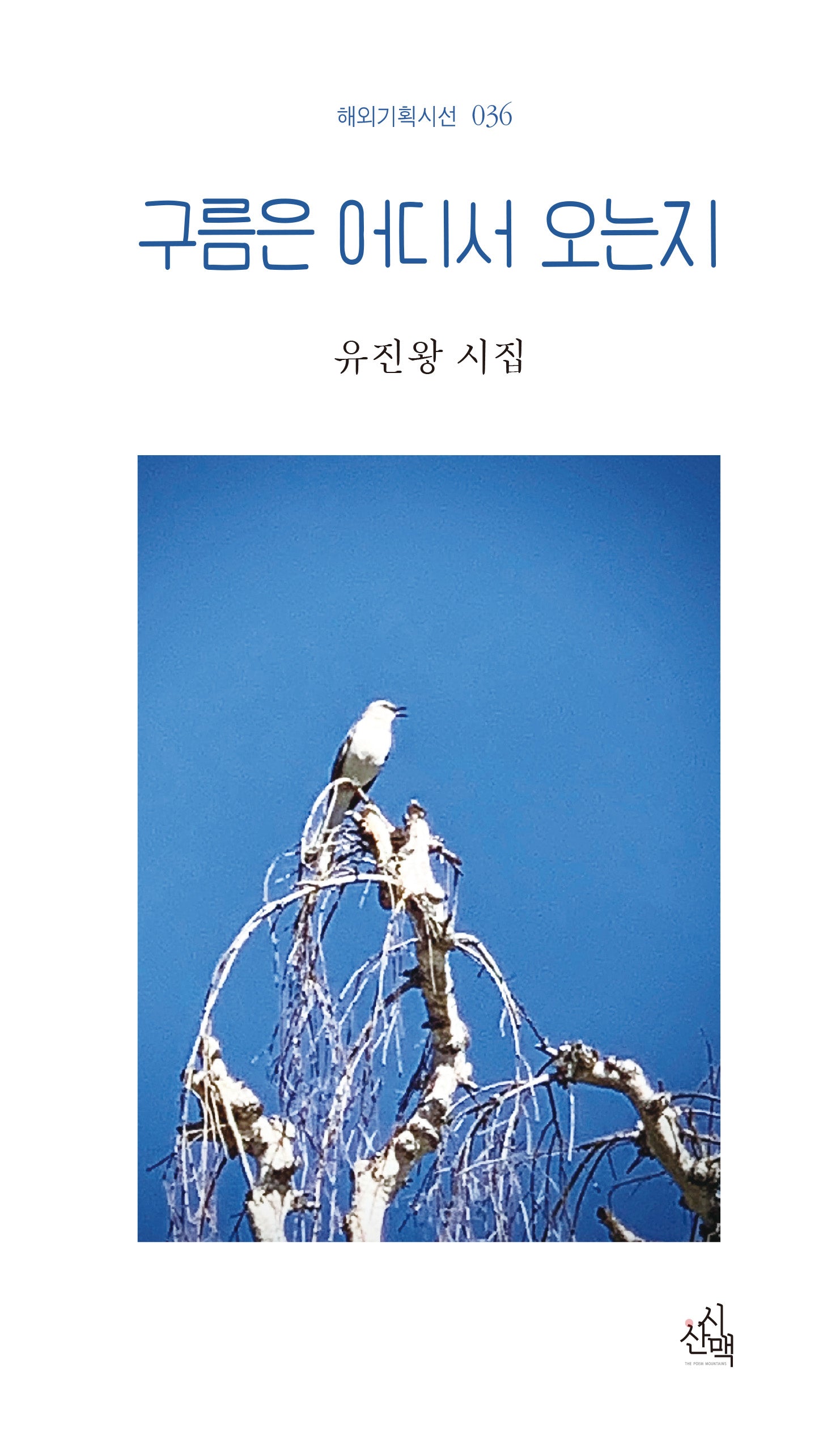 구름은 어디서 오는지(해외기획시선 36)