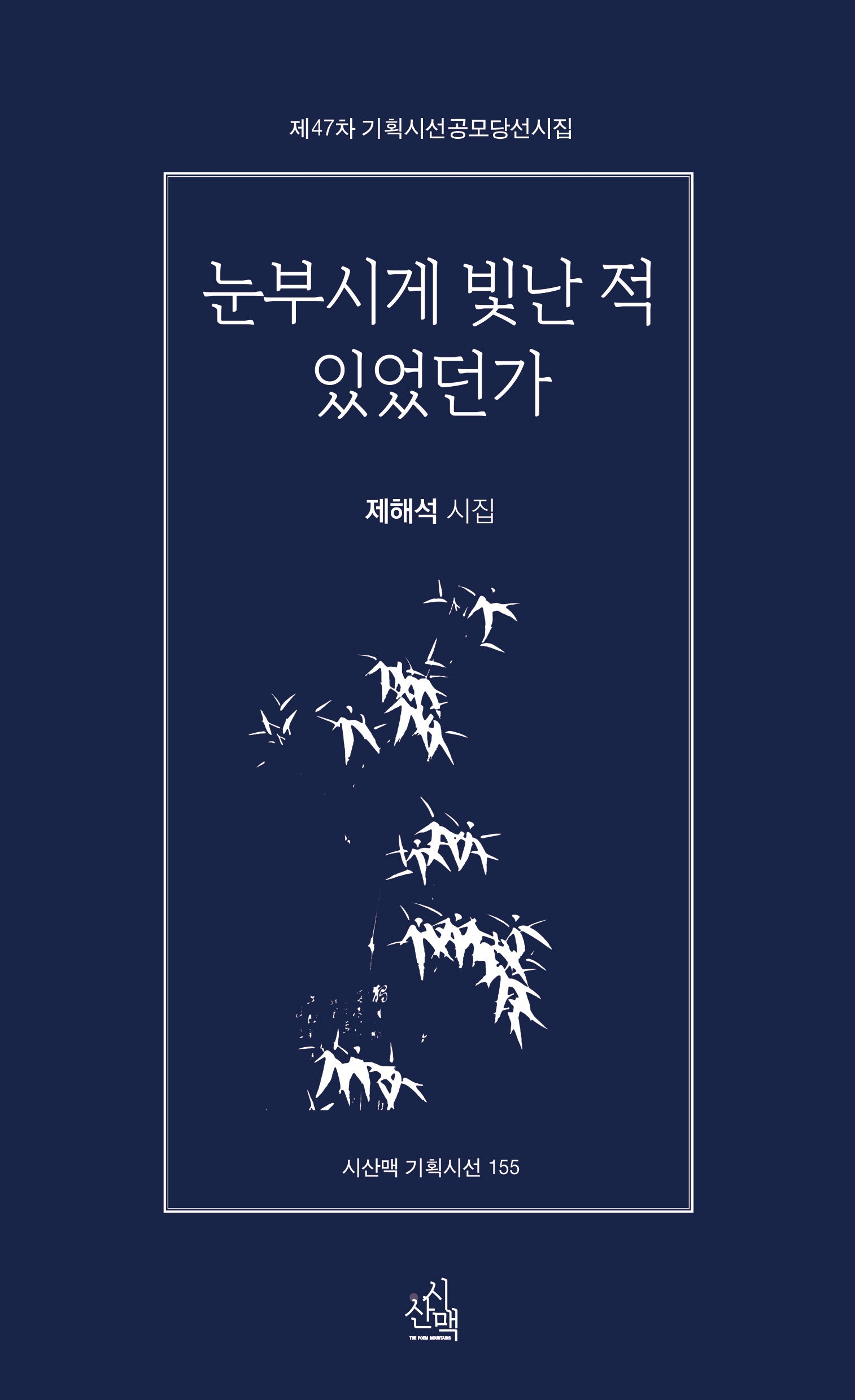 눈부시게 빛난 적 있었던가(시산맥 기획시선 155)
