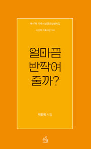 얼마큼 반짝여 줄까?(시산맥 기획시선 164)