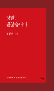 정말, 괜찮습니다(해외기획시선 39)