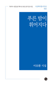 푸른 밤이 휘어지다(시산맥시혼시인선 63)