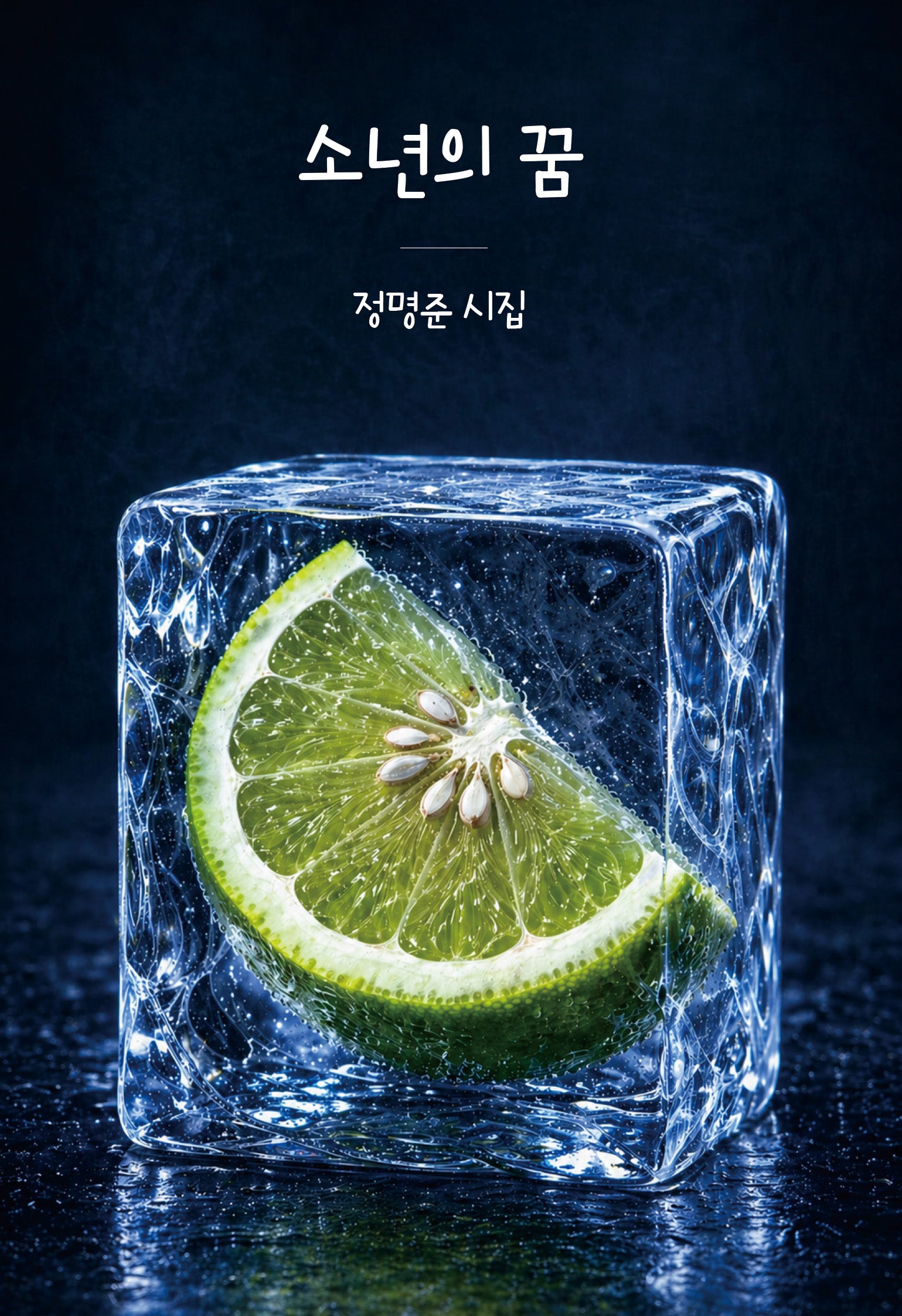 소년의 꿈(청소년 시선)