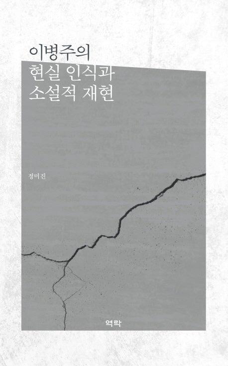 현실 인식과 소설적 재현(이병주의)(양장본 HardCover)