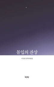 몰입의 잔상(반양장)