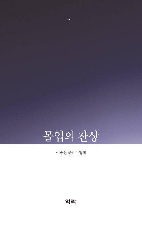 몰입의 잔상(반양장)