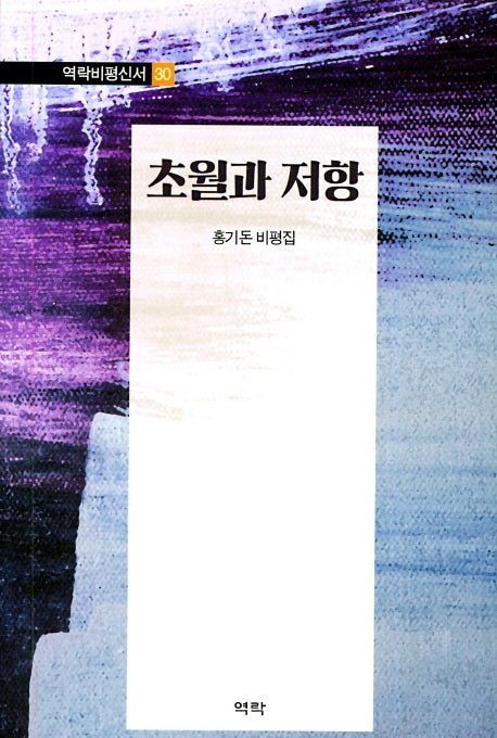 초월과 저항(역락비평신서 30)(양장본 HardCover)