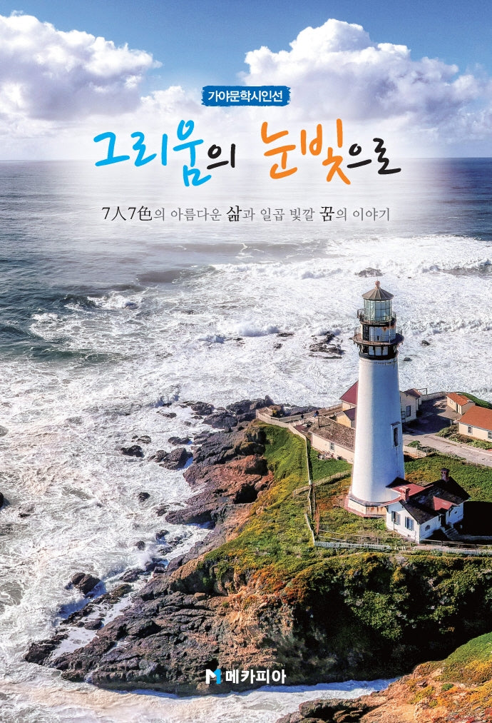 그리움의 눈빛으로(가야문학시인선)