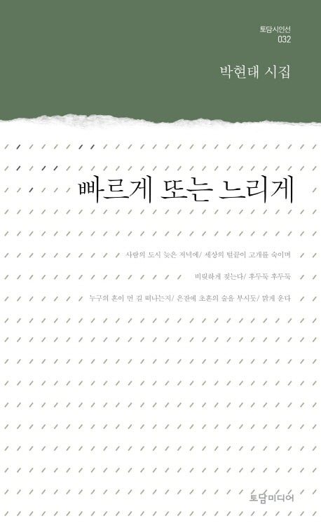 빠르게 또는 느리게(토담 시인선 32)