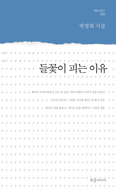 들꽃이 피는 이유(토담 시인선 34)