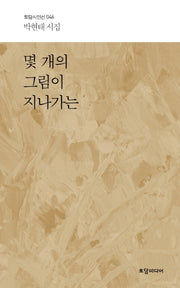 몇개의 그림이 지나가는(토담시인선 46)