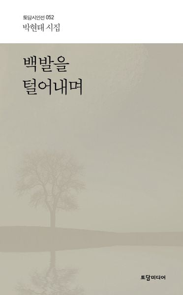 백발을 털어내며(토담 시인선 52)