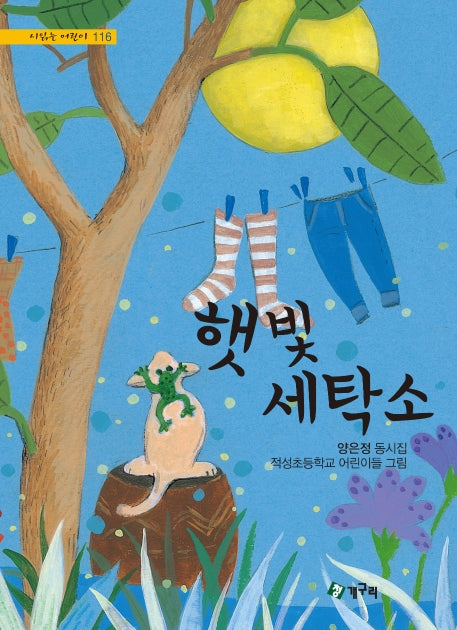 햇빛 세탁소(시읽는 어린이 116)(양장본 HardCover)