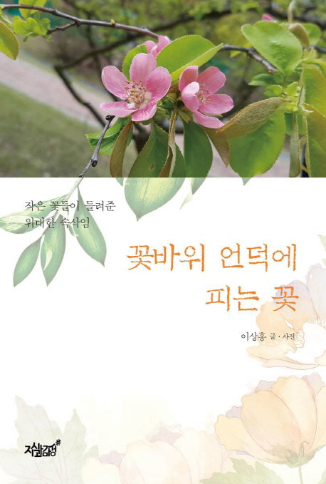 꽃바위 언덕에 피는 꽃