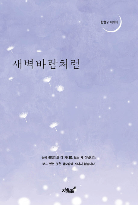 새벽바람처럼