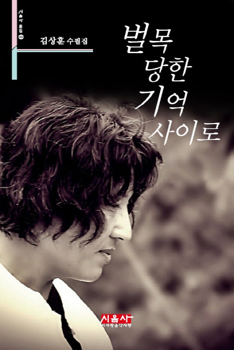 벌목 당한 기억 사이로(시음사 문집 211)