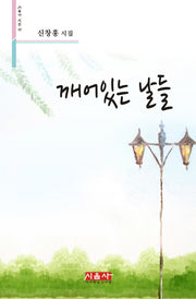 깨어있는 날들(시음사 시선 236)