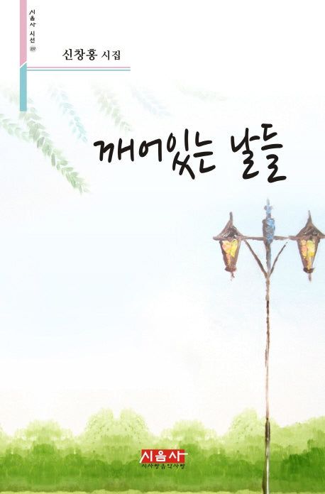 깨어있는 날들(시음사 시선 236)
