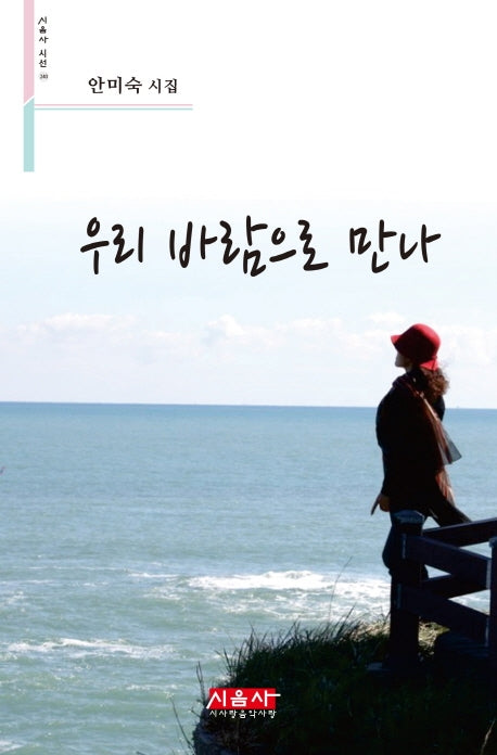 우리 바람으로 만나(시음사 시선 240)