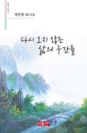 다시 오지 않는 삶의 구간들(시음사 시선 271)