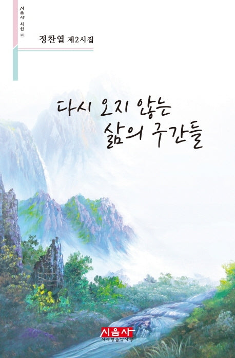 다시 오지 않는 삶의 구간들(시음사 시선 271)