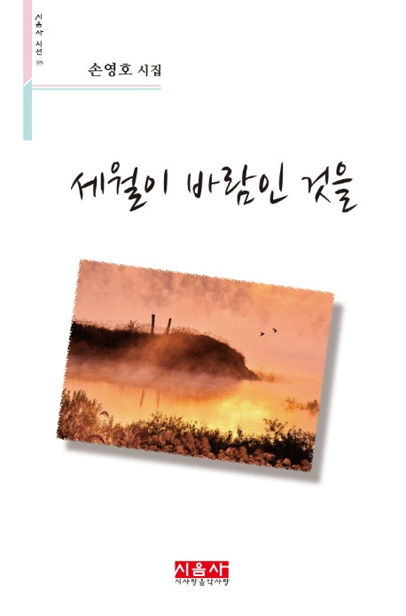세월이 바람인 것을(시음사 시선 275)