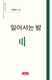일어서는 밤(시음사 시선 299)