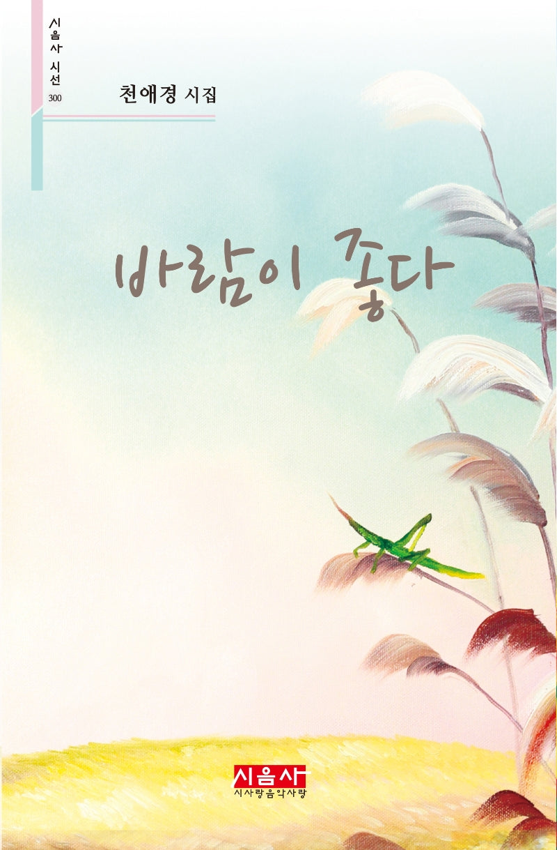 바람이 좋다(시음사 시선 300)