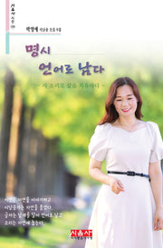 명시 언어로 남다(시음사 시선 320)