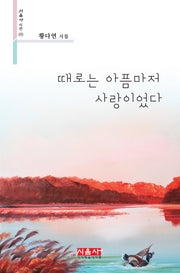 때로는 아픔마저 사랑이었다(시음사 시선 375)