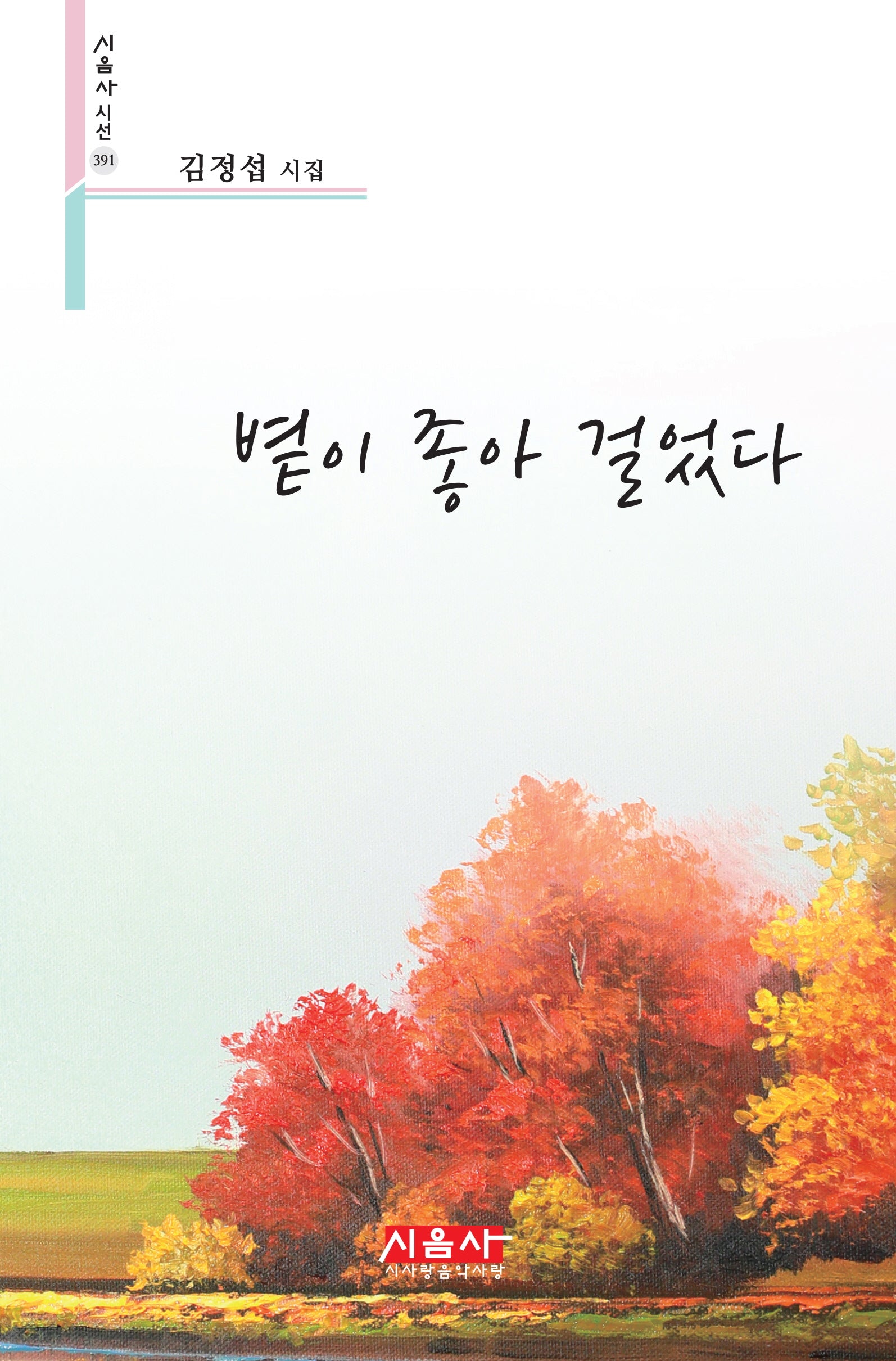 볕이 좋아 걸었다(시음사 시선 391)