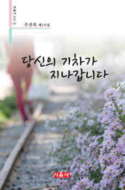 당신의 기차가 지나갑니다(시음사 시선 417)