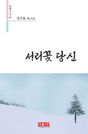서리꽃 당신(시음사 시선 424)