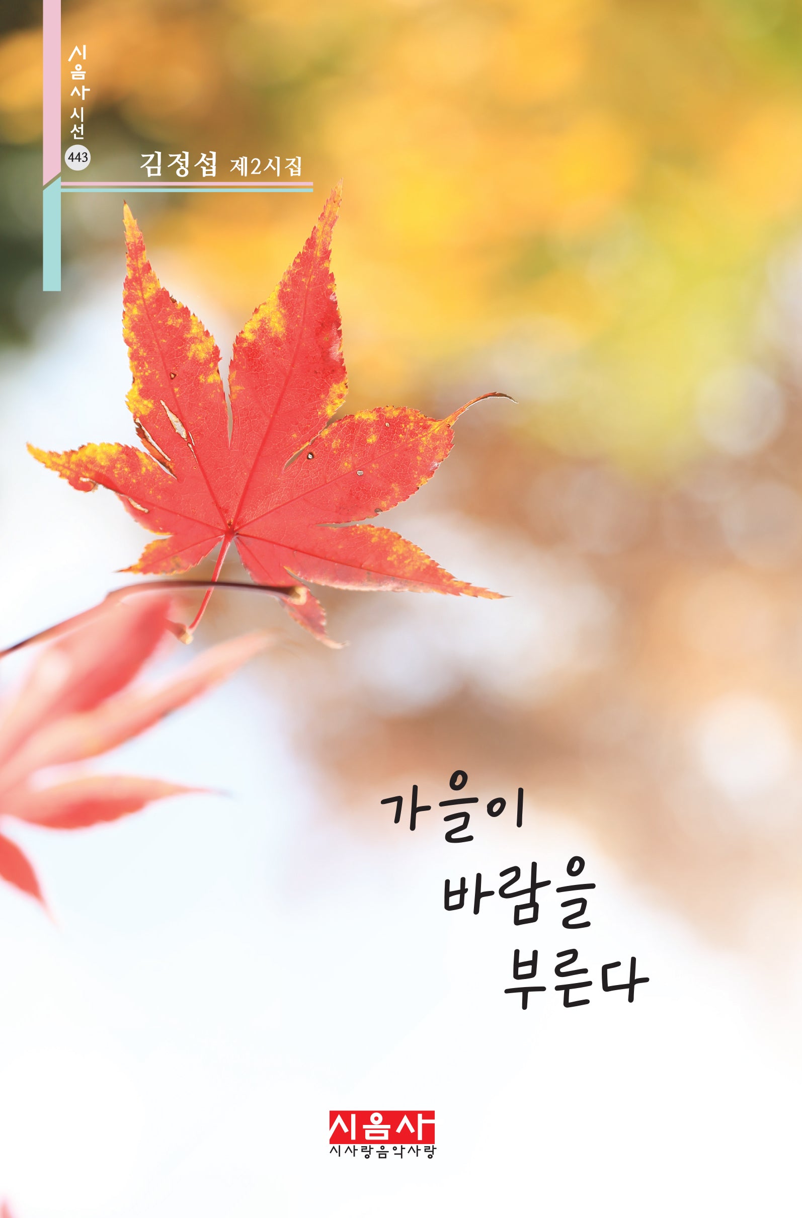가을이 바람을 부른다(시음사 시선 443)