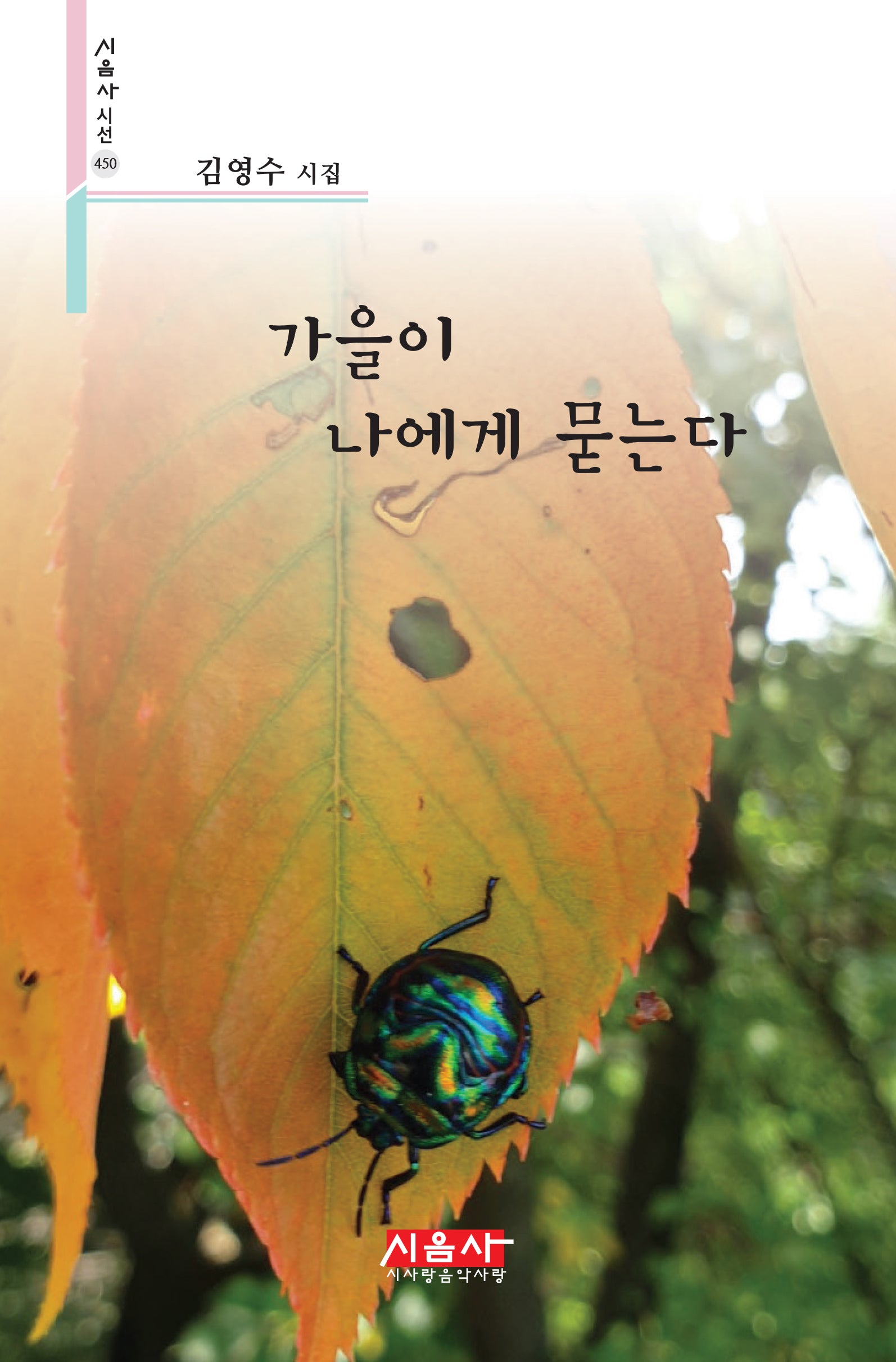 가을이 나에게 묻는다(시음사 시선 450)