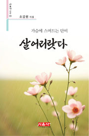 가슴에 스며드는 단비 살어리랏다(시음사 시선 458)