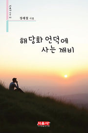 해당화 언덕에 사는 깨비(시음사 시선 482)