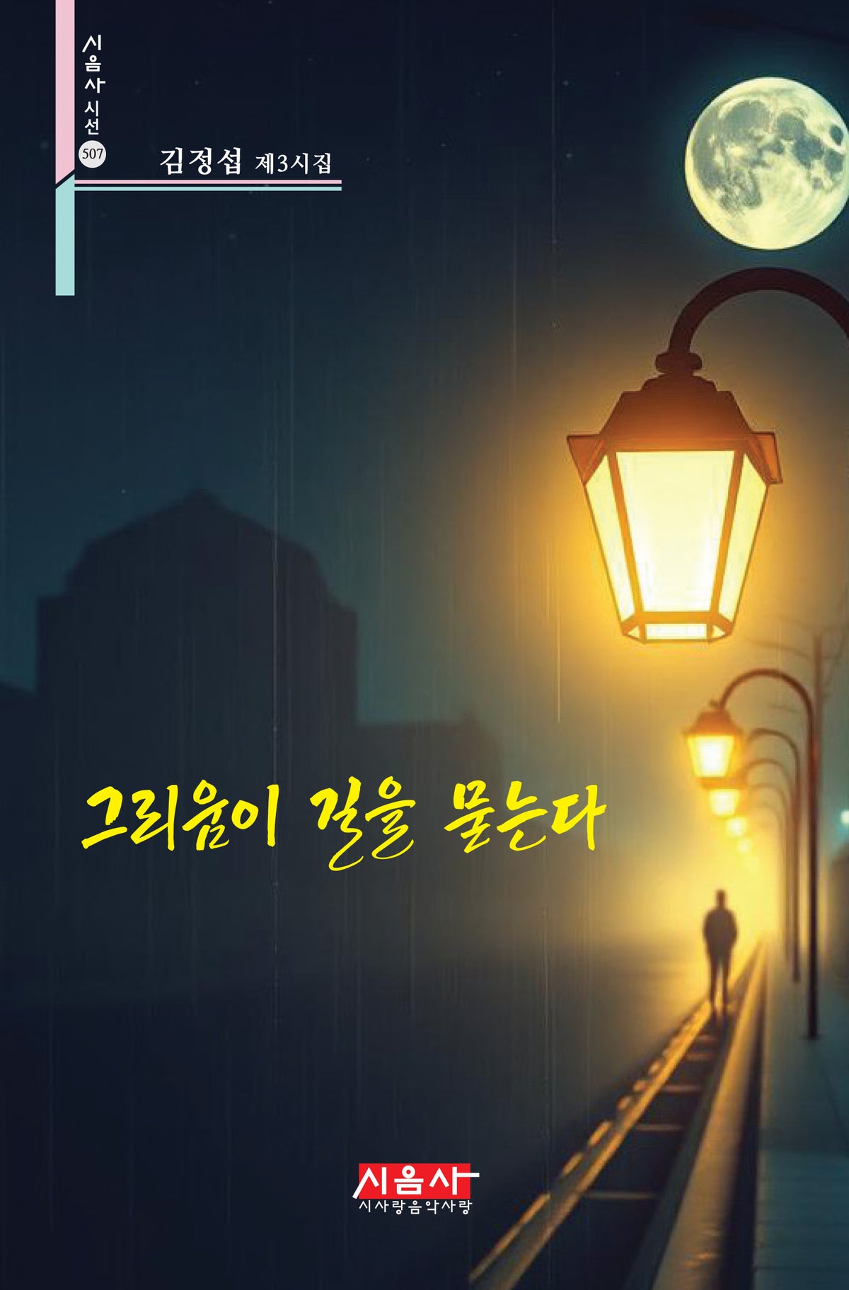 그리움이 길을 묻는다(시음사 시선 507)