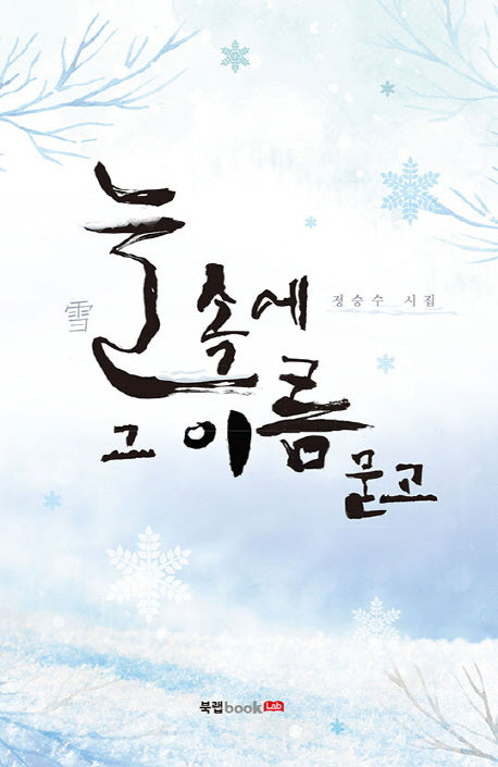 눈 속에 그 이름 묻고(반양장)