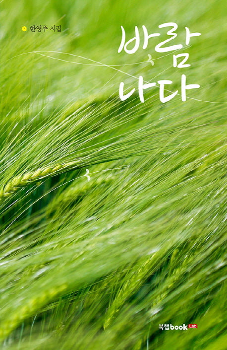 바람나다