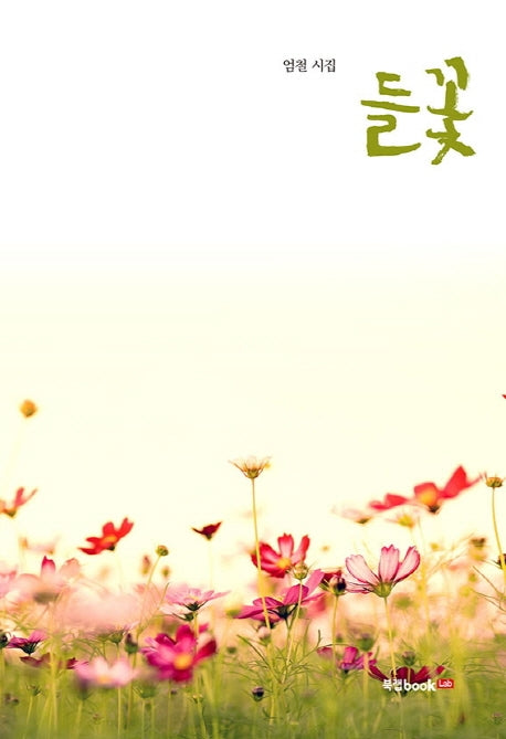 들꽃